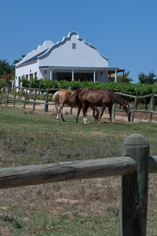 Dunstone Country House Wellington Exterior photo